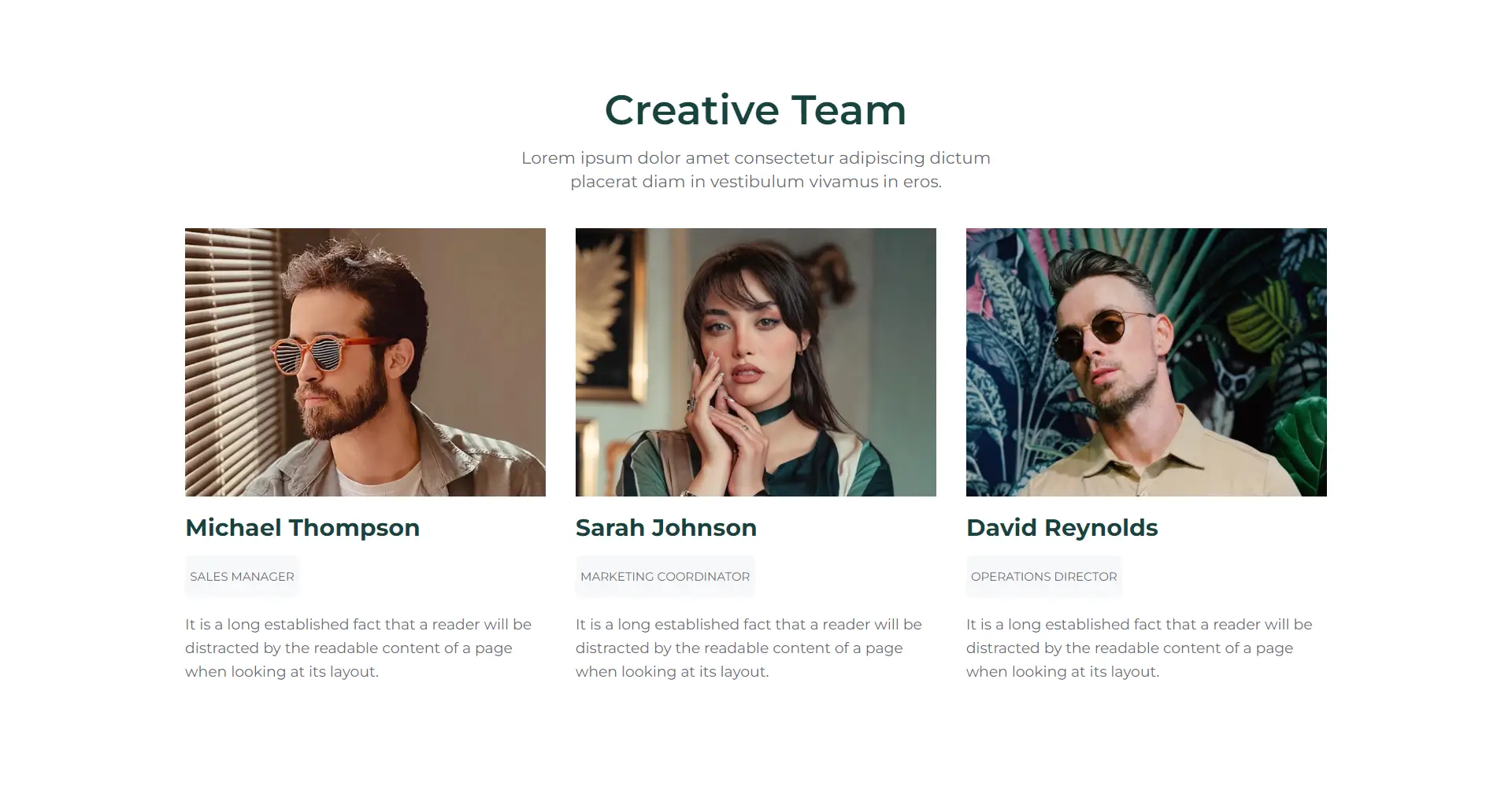 Creative Company Team Section Template