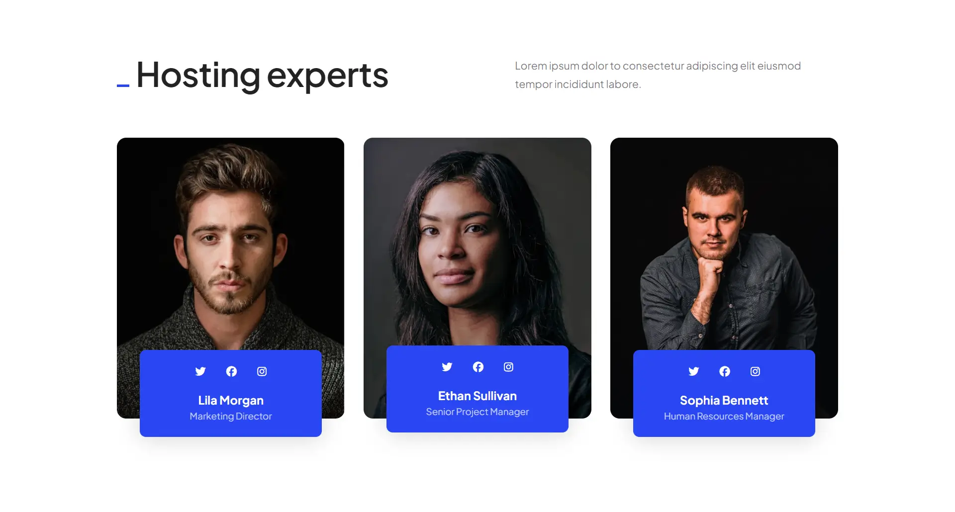 Creative Hosting Experts Team Section Template