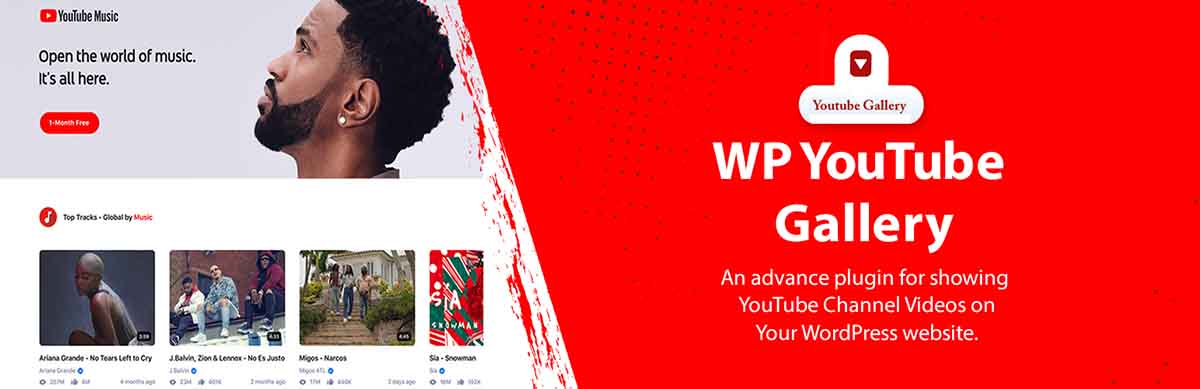 WP Youtube Video Gallery | WordPress Plugin