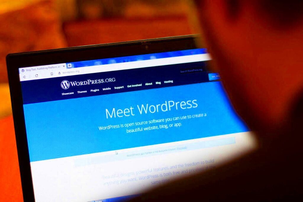 5 Reasons Why You Should Hire a Professional WordPress Developer