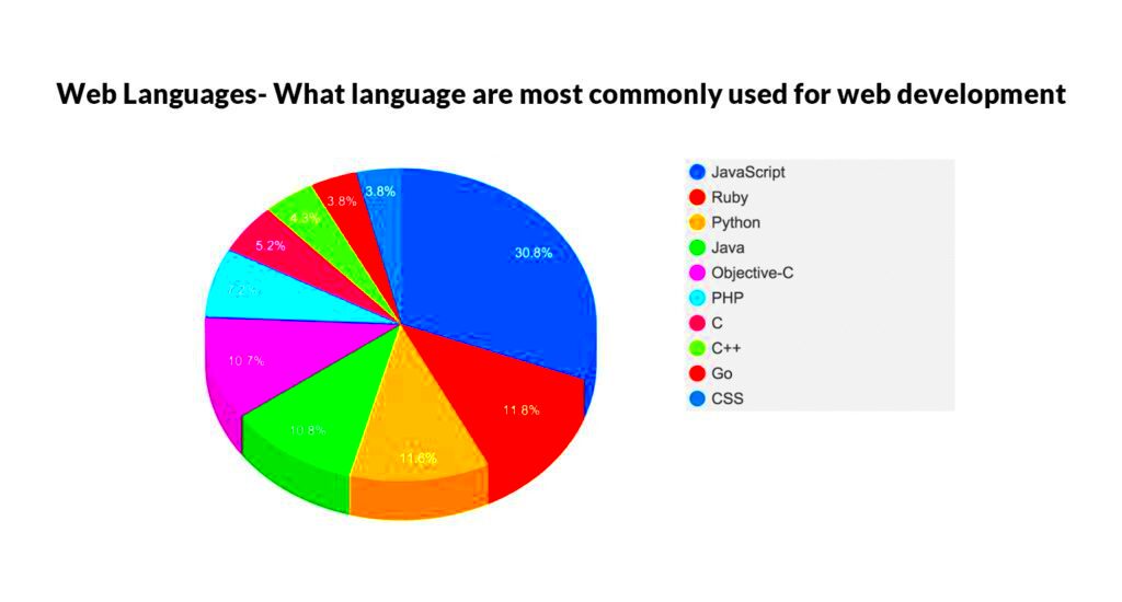 Comparing the Advantages WordPress vs Custom Web Development