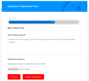 Best Practices for Securing a Job Application Form in WordPress