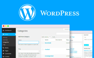 How to De-Index Tag Pages in WordPress for Better SEO
