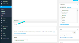 Disabling Auto Excerpts in WordPress: A Quick Guide