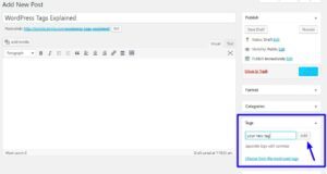Manually Adding Structured Tags to WordPress for Enhanced SEO