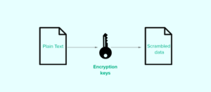 Adding Cryptographic Keys to a WordPress Site: Security Benefits