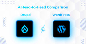Comparing WordPress and Drupal for Enterprise SEO