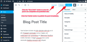 How to Publish Draft Pages in WordPress