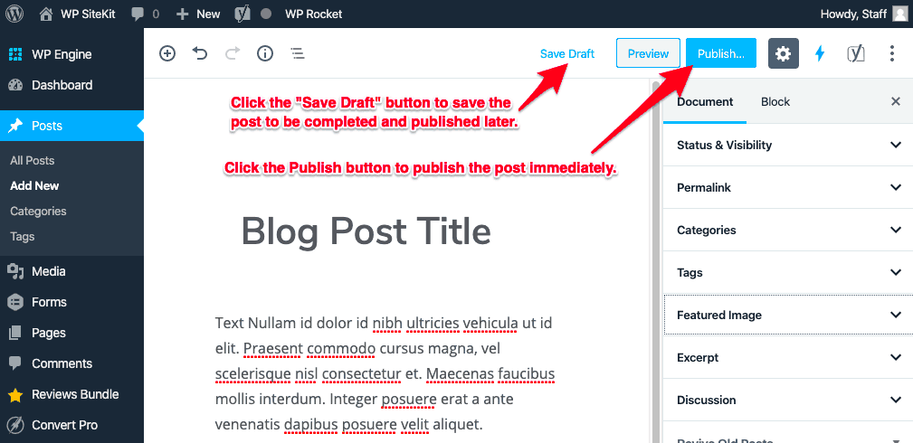 How To Write and Publish a Blog Post with WordPress  WP SiteKit