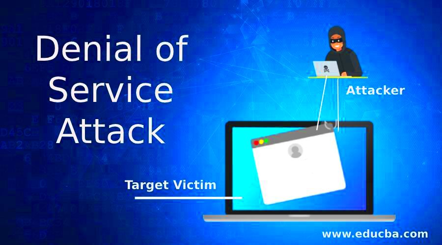 Denial of Service Attack  How to Prevent Denial of Service Attacks