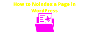 How to Define Noindex for WordPress Authors