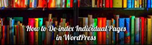 How to De-index Tag Pages in WordPress