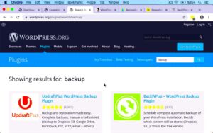 WordPress Database Plugin for Backup and Management