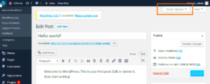 Add Custom Field to WordPress Post Type with PHP (No Plugin)
