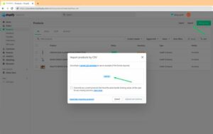 Best Practices for Migrating Customer Data From WordPress to Shopify