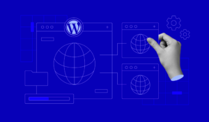 Does the Explorer WordPress Subscription Work for Multiple Websites?
