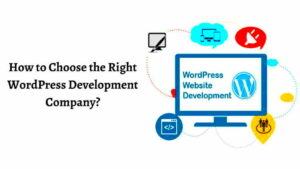 Custom WordPress Development Companies: Top Options to Consider
