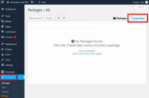 Elementor Migration to WordPress: Best Practices and Guidance