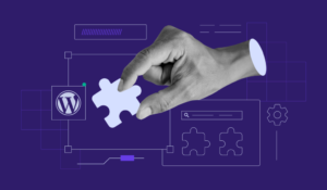 Redefining the “View Details” URL for Plugins in WordPress plugin_row_meta