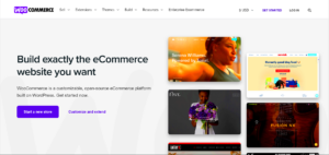 Popular Websites Using WooCommerce in 2024
