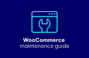 WooCommerce Maintenance Services: Keep Your Store Running Smoothly