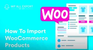 Importing Products into WooCommerce via DataFeed XML