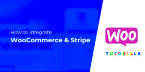 How to Fix Stripe Fees Not Being Reported in WooCommerce API