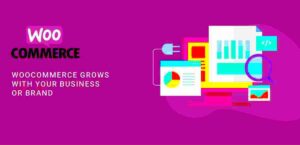 WooCommerce Plans: Choose the Right One for Your Business