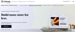 Best Hosting Options for WooCommerce in 2024