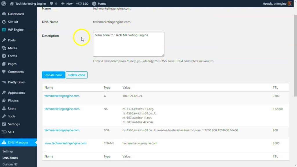 How to edit DNS settings inside your WordPress site with the DNS