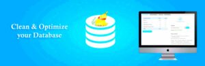 Best WordPress Database Cleaner and Optimizer Tools