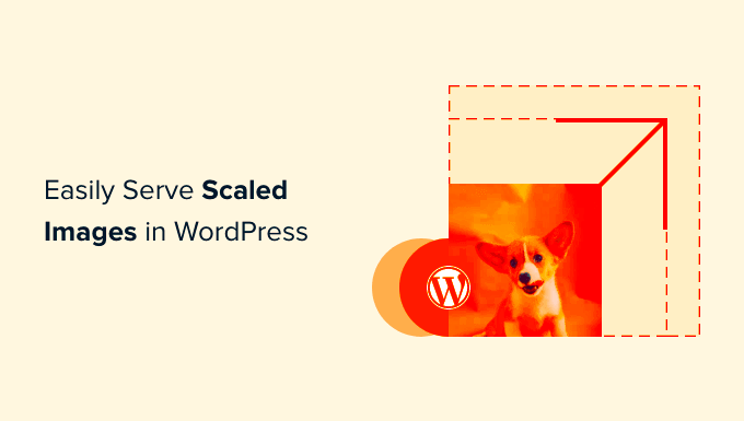 How to Easily Serve Scaled Images in WordPress Step by Step