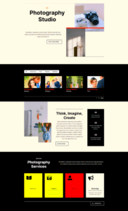 Creating a Filterable Portfolio with Divi in WordPress