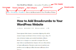 How to Add Breadcrumbs in WordPress Using PHP