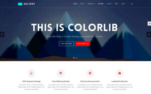 Best WordPress IT Templates for Professional Sites