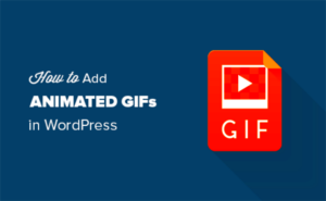 Adding an Animated Video to WordPress: Best Practices