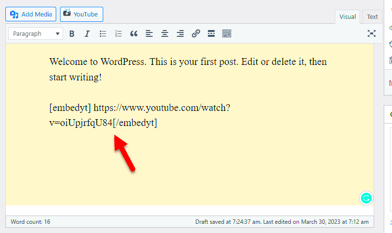 How to Embed YouTube Videos in WordPress StepByStep