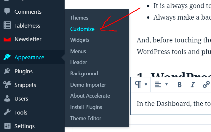 WordPress Customizing Themes Basic Principles  Examples