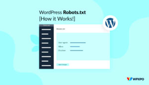 Best WordPress Robots.txt Templates for 2024