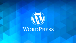 nqueueing Scripts in WordPress with Custom Attributes