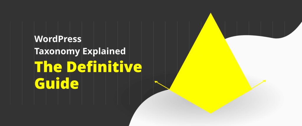 WordPress Taxonomy Explained The Definitive Guide  DevriX