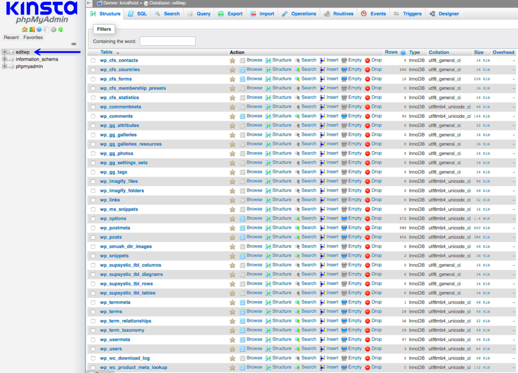 A Beginners Guide to WordPress Database What It Is and How to Access