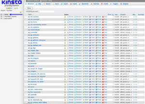 WordPress Database Downloader: What You Should Know