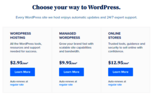 Bluehost WordPress Plans: Which One Fits Your Needs?