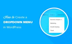 WordPress Menu Dropdown Animation Speed Adjustments