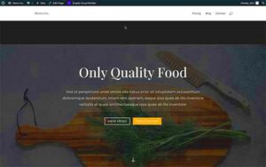 Creating Custom Landing Pages in WordPress with Divi