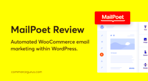 Using WordPress as Email Marketing Software