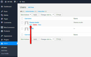 Setting Up WordPress Roles and Permissions