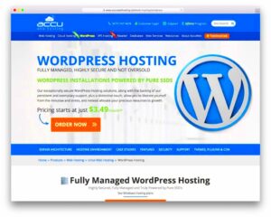 Affordable WordPress Hosting Options for Small Businesses
