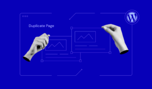 Best Practices for Using WordPress Duplicate Page Plugins